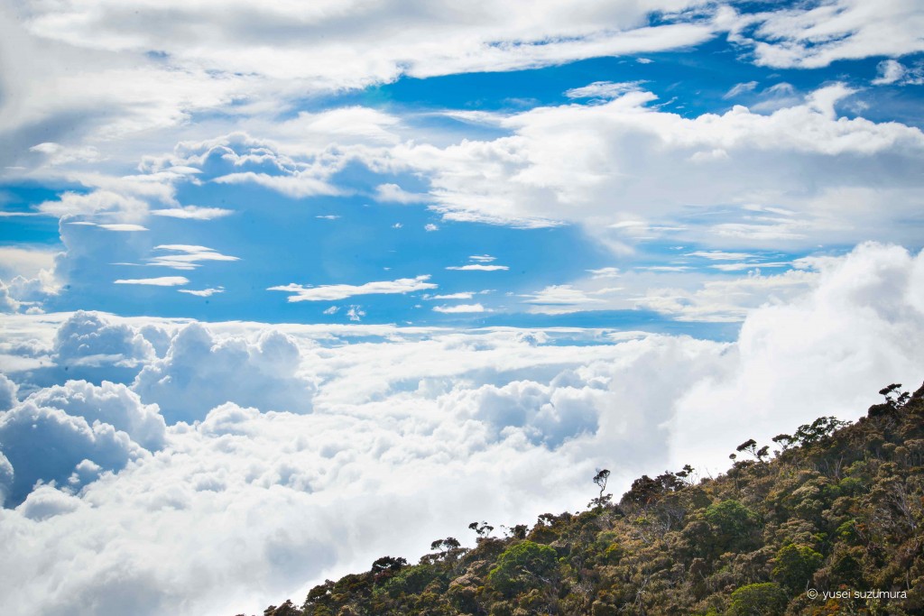 キナバル山標識３