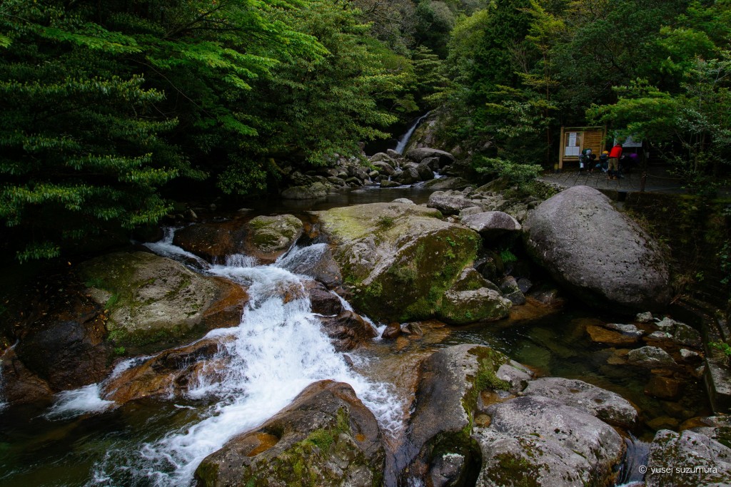 th_20140427-_DSC3894