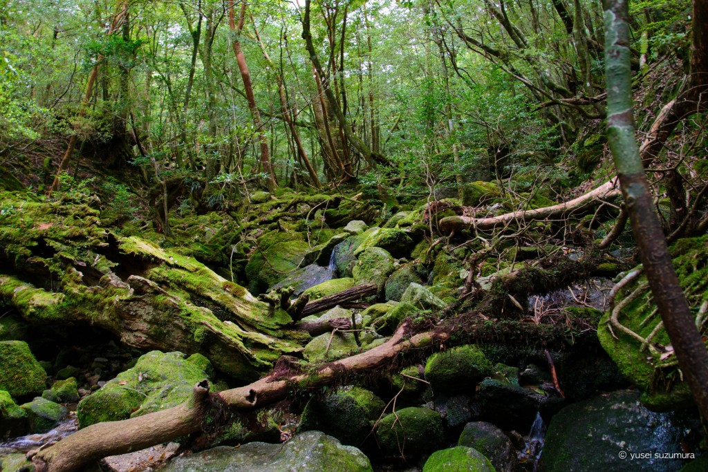 th_20140427-_DSC3910