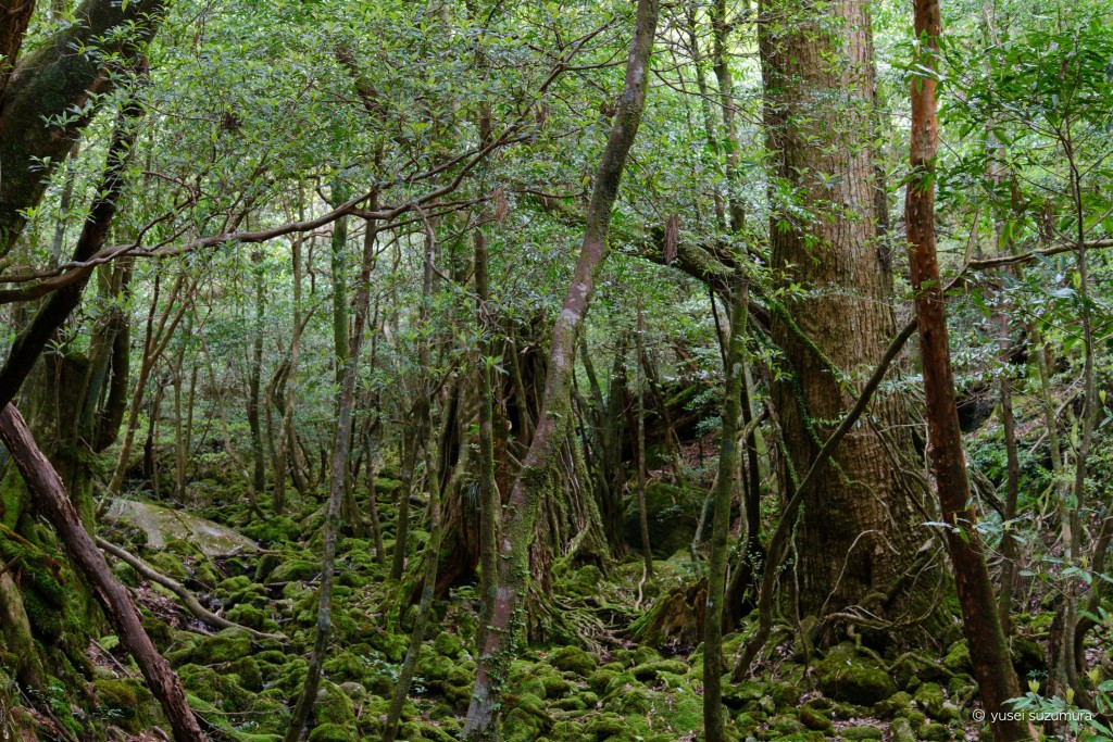 th_20140427-_DSC3913