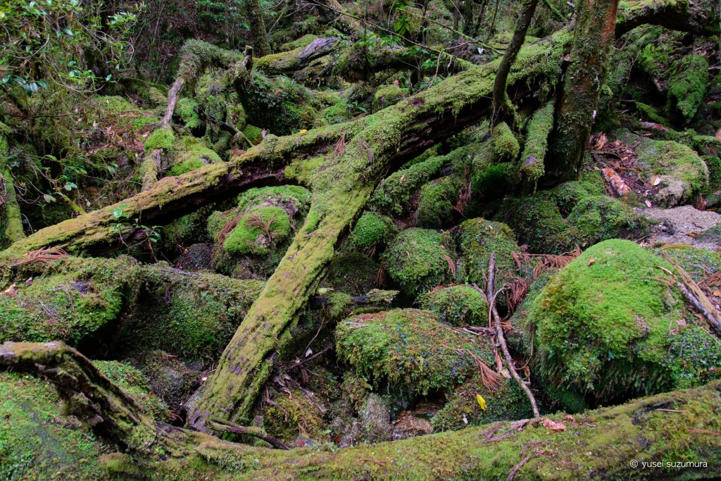 th_20140427-_DSC3950