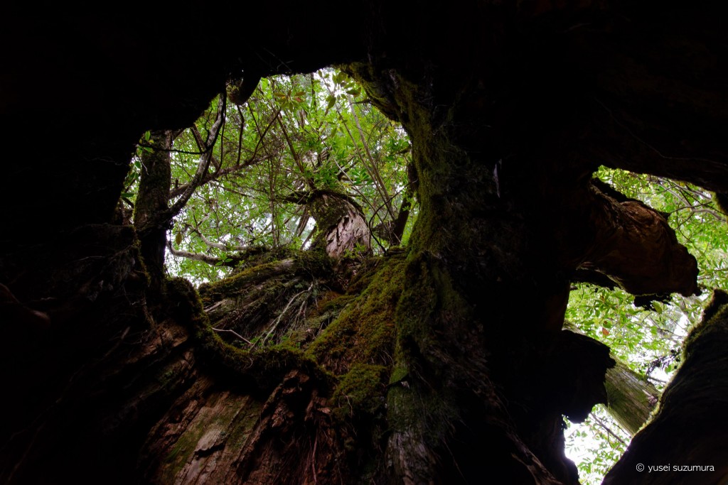 th_20140427-_DSC3971