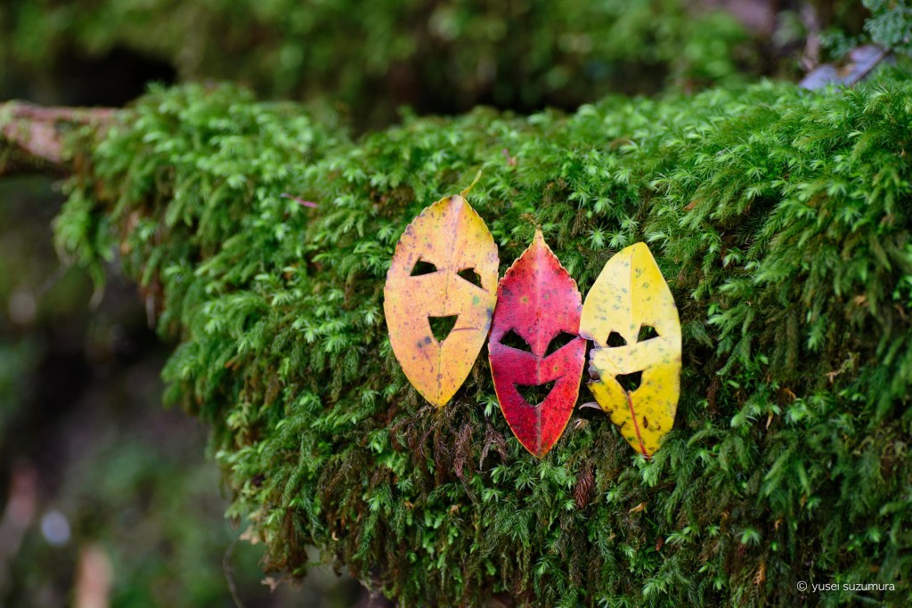 th_20140427-_DSC4028