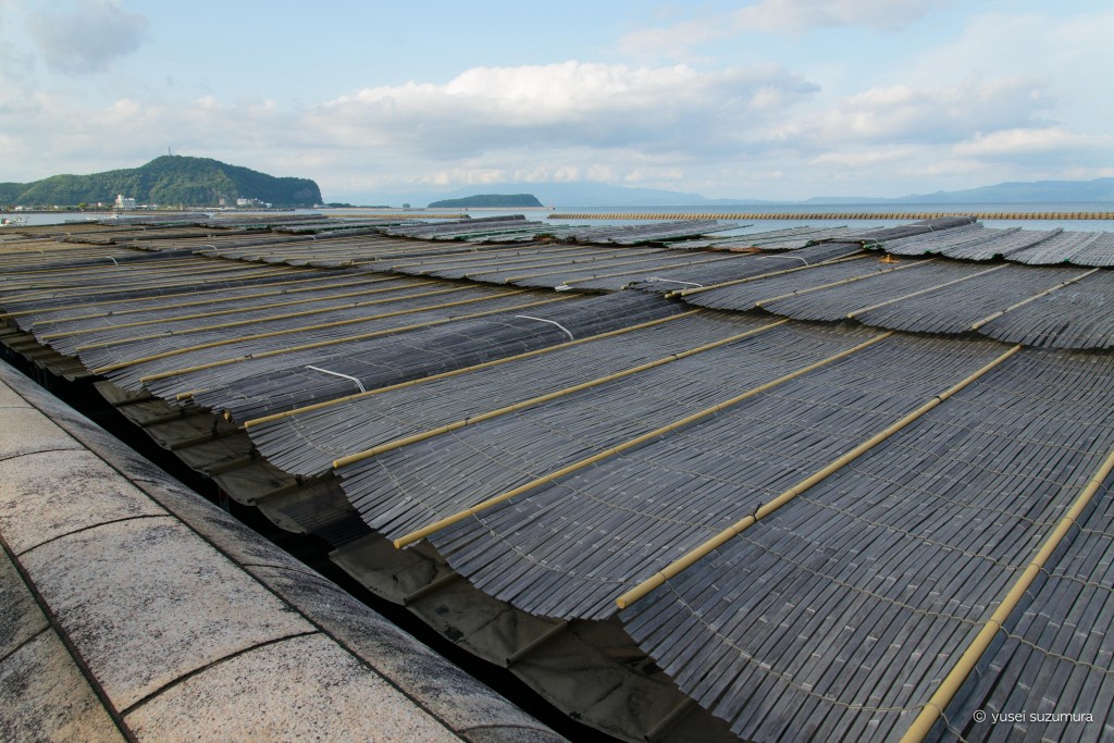 th_20140429-_DSC4262